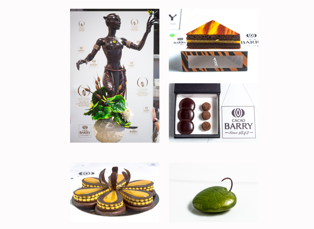 Chocolate creations