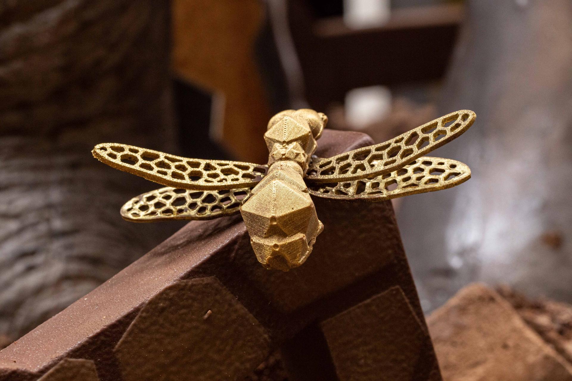 Lluc Crusellas elephant