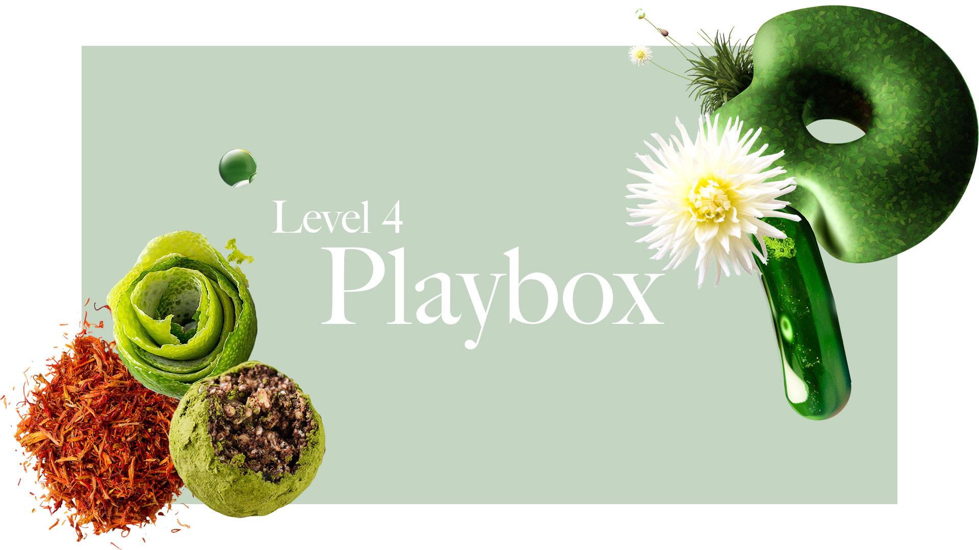  Playbox - Assignments - World Chocolate Masters